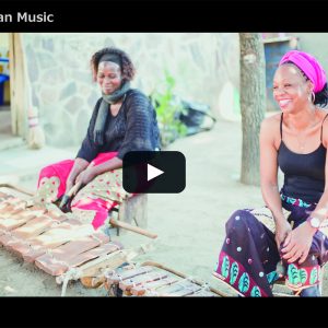 Mozambican Traditional Music